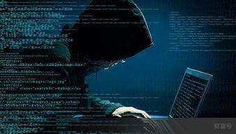 超级黑客爆料视频大全最新,视频大全深度解析  第2张